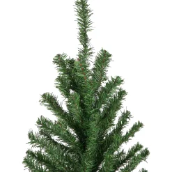 Northlight Unlit-6' Canadian Pine Medium Artificial Christmas Tree - Unlit