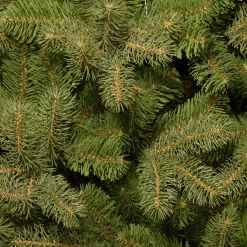 CC Christmas Decor Unlit-10' Downswept Fir Artificial Christmas Tree - Unlit