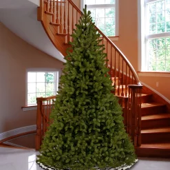 CC Christmas Decor Unlit-10' Downswept Fir Artificial Christmas Tree - Unlit