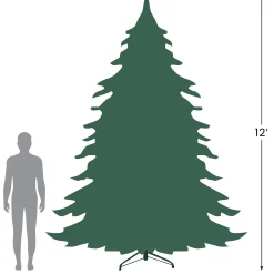 Northlight Unlit-12' Full Buffalo Fir Artificial Christmas Tree - Unlit