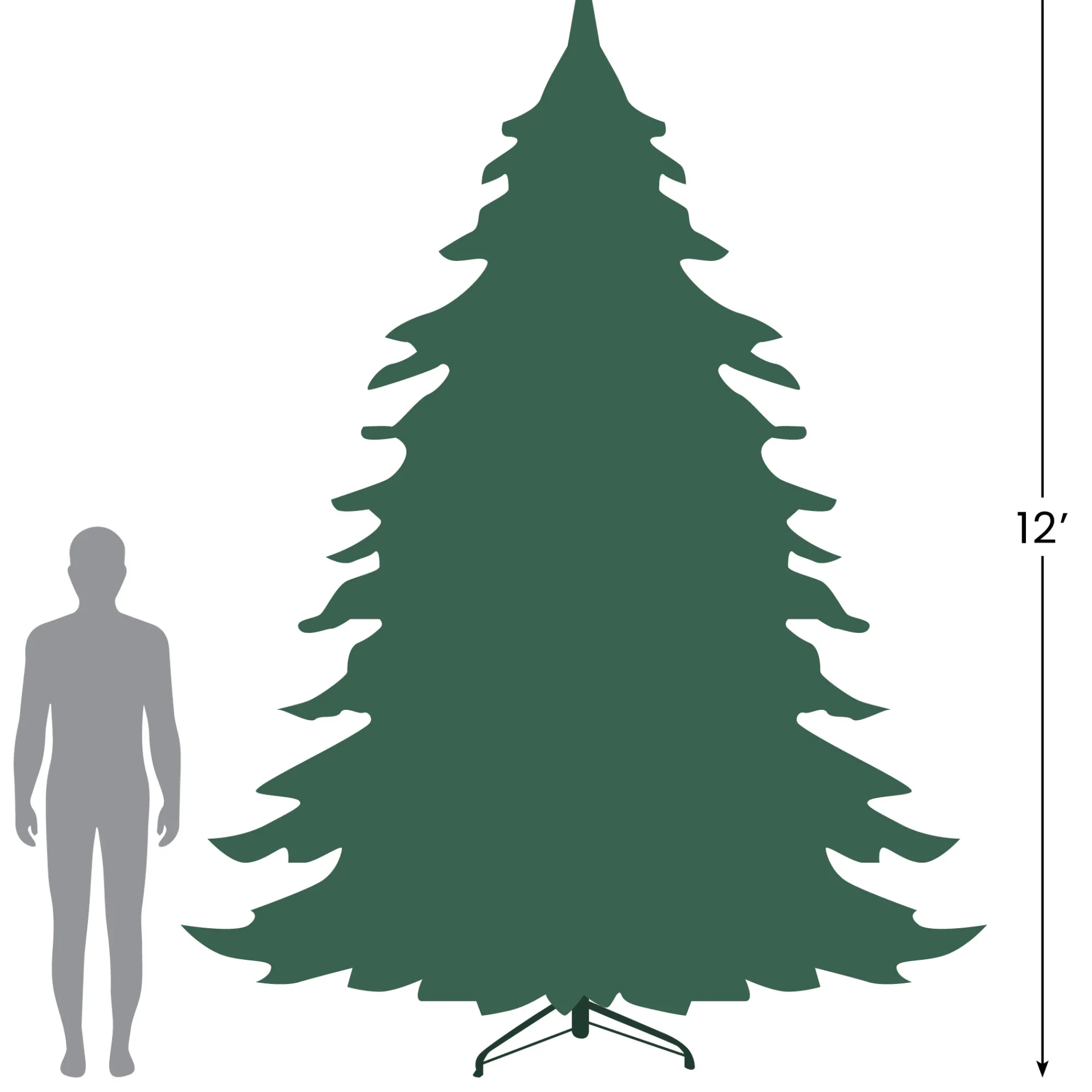 Northlight Unlit-12' Full Buffalo Fir Artificial Christmas Tree - Unlit