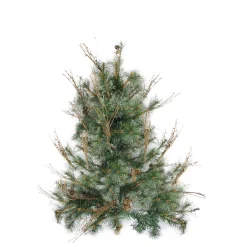 Northlight Wall Trees-2' Full Country Mixed Pine Artificial Christmas Wall Tree - Unlit
