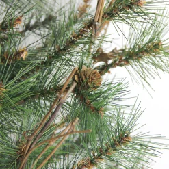 Northlight Wall Trees-2' Full Country Mixed Pine Artificial Christmas Wall Tree - Unlit