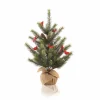 Napa Home & Garden Unlit-2' Green And Brown Glittered Cardinal Snow Pine Artificial Christmas Tree - Unlit