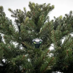 Northlight Artificial Tree Stands-3.75