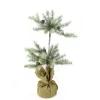 Napa Home & Garden Unlit-28" Green Vintage Glitter Pine Artificial Christmas Double Topiary Tree - Unlit