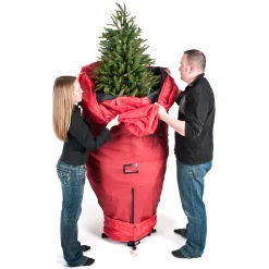 Northlight Tree Storage-96