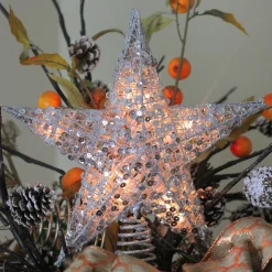 Northlight Stars-12