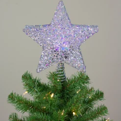 Northlight Stars-13