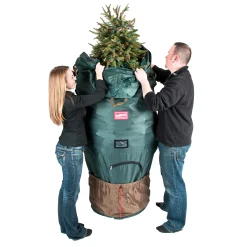 Northlight Tree Storage-89