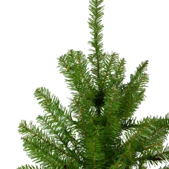 Northlight Unlit-7.5' Northern Pine Full Artificial Christmas Tree - Unlit