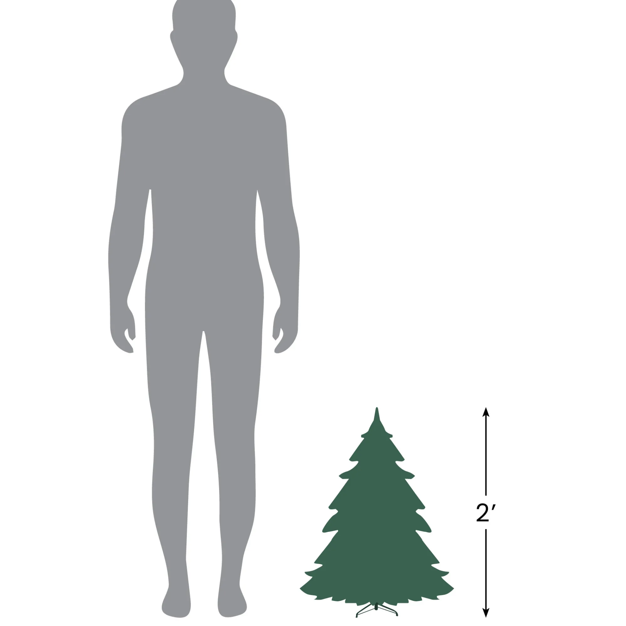 Northlight Wall Trees-2' Pre-Lit Country Mixed Pine Artificial Christmas Wall Tree - Clear Lights