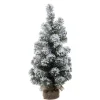 Contemporary Home Living Unlit-2' Pre-Lit Green And White Artificial Christmas Snowy Pine Tree - Unlit
