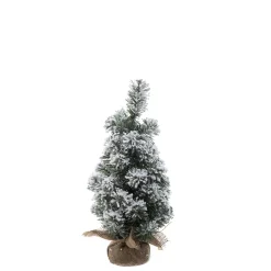 Contemporary Home Living Unlit-1.5' Pre-Lit Green And White Artificial Christmas Snowy Pine Tree - Unlit