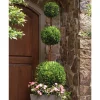 CC Home Furnishings Topiaries-96" Preserved Boxwood Triple Ball Topiary In Light Gray Grower's Pot - 32602064