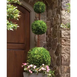 CC Home Furnishings Topiaries-96" Preserved Boxwood Triple Ball Topiary In Light Gray Grower's Pot - 32602064