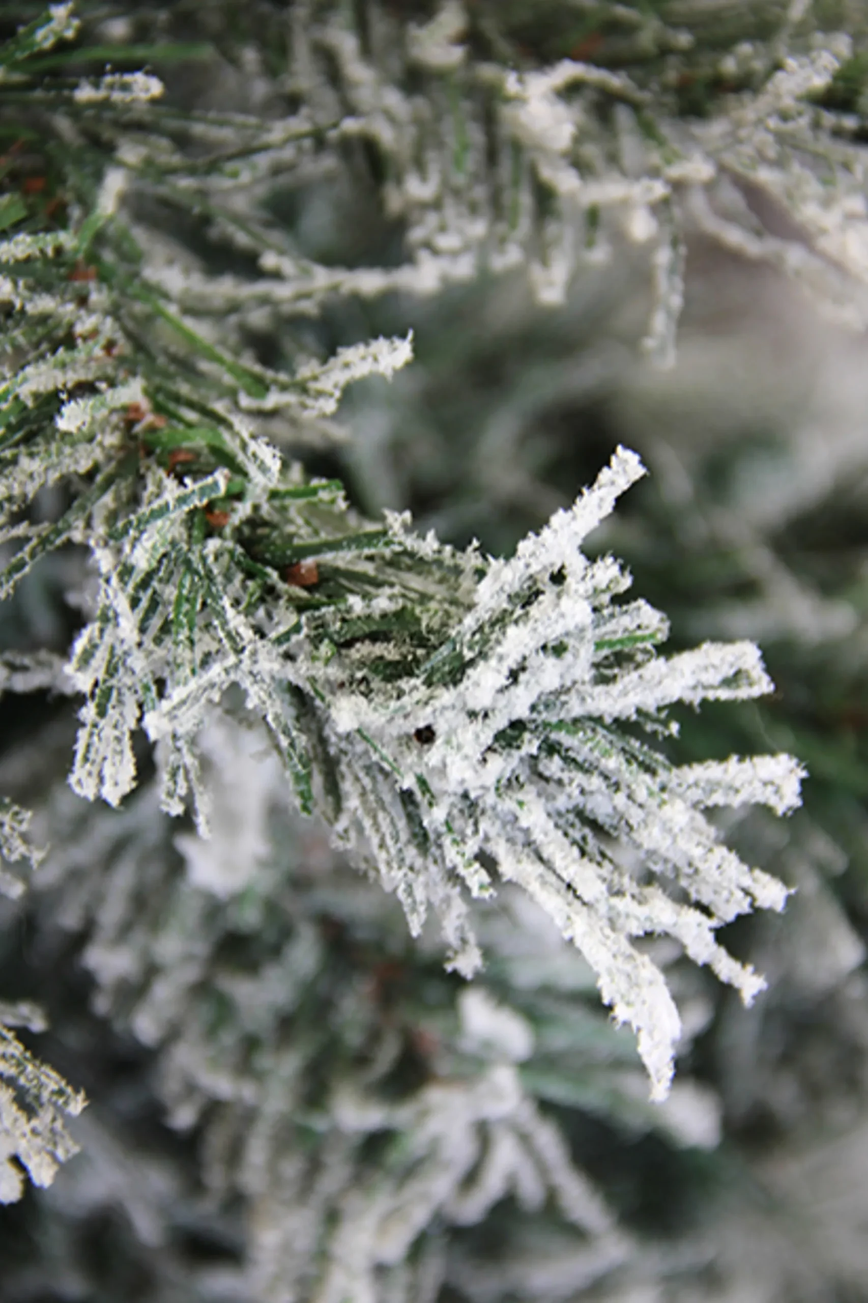 Allstate Unlit-7' Unlit Slim Frosted And Glittered Woodland Alpine Artificial Christmas Tree