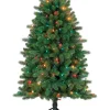 Celebrations Home Unlit-Celebrations 4 Ft. Full Incandescent 150 Count Grande Fir Color Changing Christmas Tree - Case Of: 1;